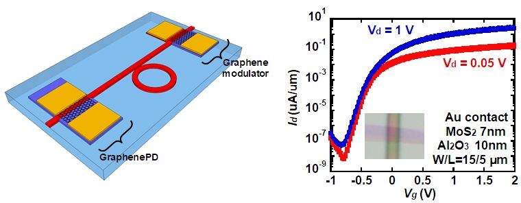 Graphene based photonic devices and MoS2 MOSFET